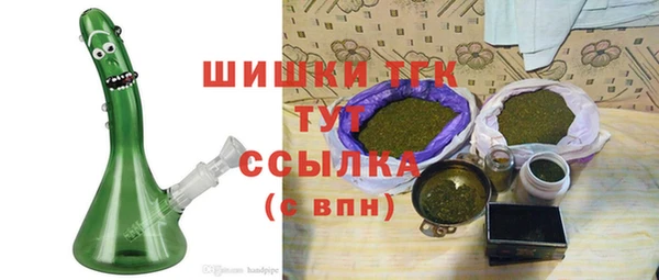 ешки Гусев