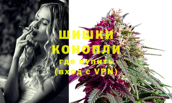 гашик Гусь-Хрустальный