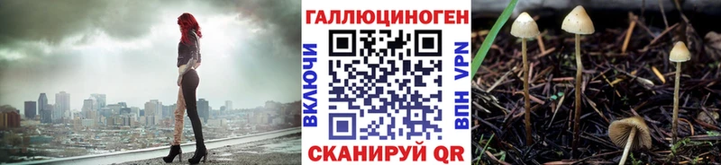 купить наркоту  omg tor  Галлюциногенные грибы мицелий  Дрезна 